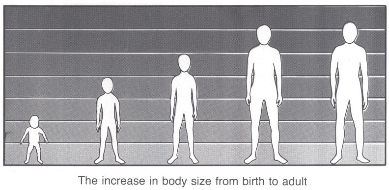 Brett Audrain's Puberty Site